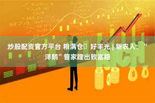 炒股配资官方平台 粮满仓・好丰光 | 新农人：“洋鹅”管家蹚出致富路