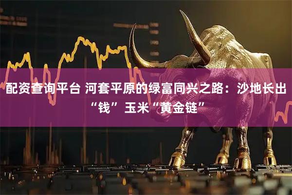 配资查询平台 河套平原的绿富同兴之路：沙地长出“钱” 玉米“黄金链”