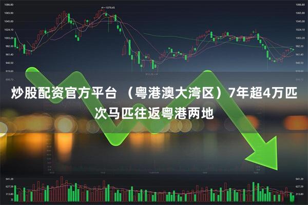 炒股配资官方平台 （粤港澳大湾区）7年超4万匹次马匹往返粤港两地